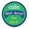 Cub Scouts Well Done Fun Badge