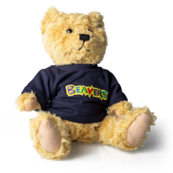 beaver scouts cuddly toy