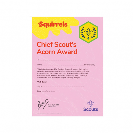 Squirrels Chief Scout's Acorn Award Certificate - Pack of 10